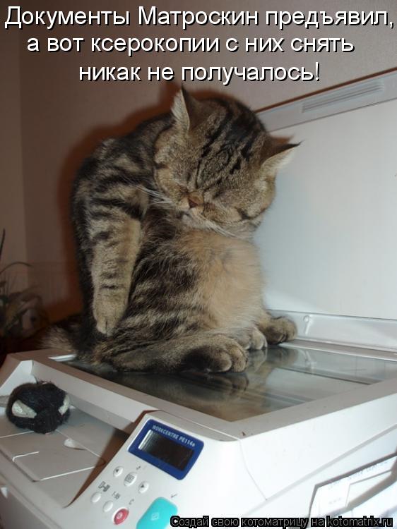 Котоматрица: Документы Матроскин предъявил, а вот ксерокопии с них снять никак не получалось!