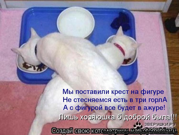 Мы поставили крест на фигуре Не стесняемся есть в три горлА А с фигурой все будет в ажуре! Лишь хозяю... Котоматрица: Мы поставили крест на фигуре Не стесняемся есть в три горлА А с фигурой все будет в ажуре! Лишь хозяюшка б доброй была!!!