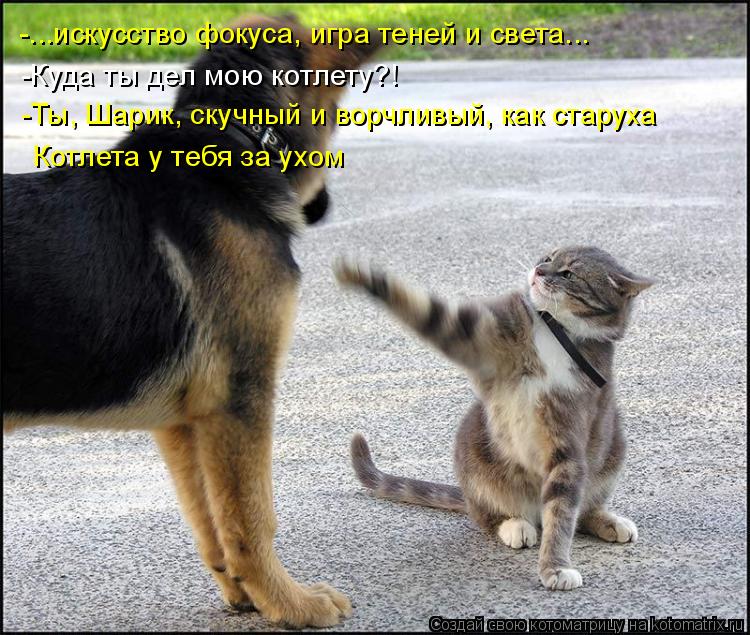 Котоматрица: -...искусство фокуса, игра теней и света... -Куда ты дел мою котлету?! -Ты, Шарик, скучный и ворчливый, как старуха Котлета у тебя за ухом