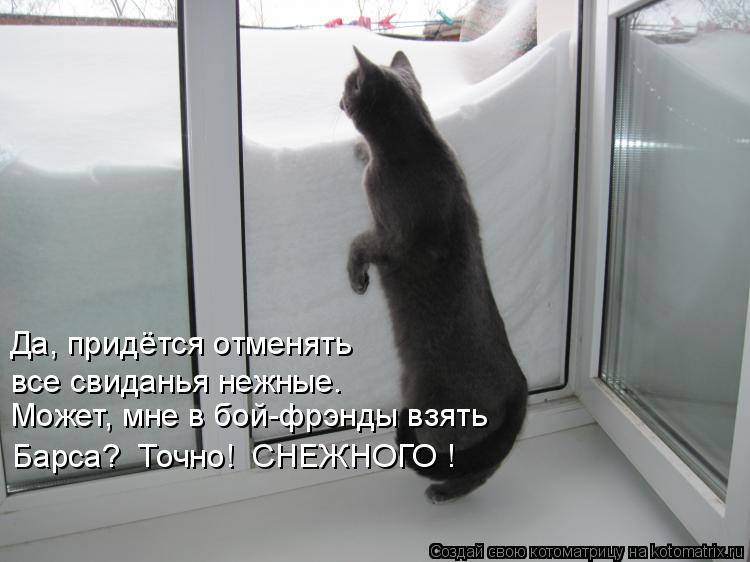 Да, придётся отменять Может, мне в бой-фрэнды взять Барса? Точно! СНЕЖНОГО ! все свиданья нежные.... Котоматрица: Да, придётся отменять Может, мне в бой-фрэнды взять Барса? Точно! СНЕЖНОГО ! все свиданья нежные.