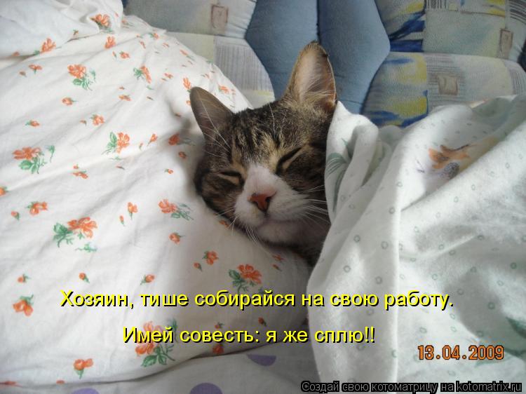 Хозяин, тише собирайся на свою работу. Имей совесть: я же сплю!!... Котоматрица: Хозяин, тише собирайся на свою работу. Имей совесть: я же сплю!!