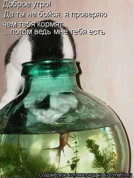 Котоматрица: Доброе утро!  Да ты не бойся, я проверяю чем тебя кормят... ...потом ведь мне тебя есть