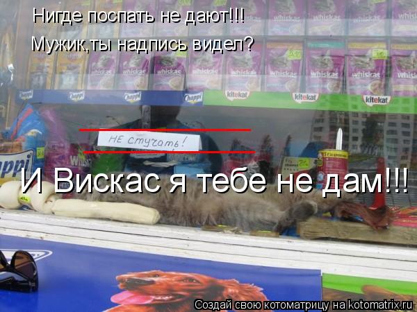 Нигде поспать не дают!!! Мужик,ты надпись видел? ___________ ___________ И Вискас я тебе не дам!!!... Котоматрица: Нигде поспать не дают!!! Мужик,ты надпись видел? ___________ ___________ И Вискас я тебе не дам!!!