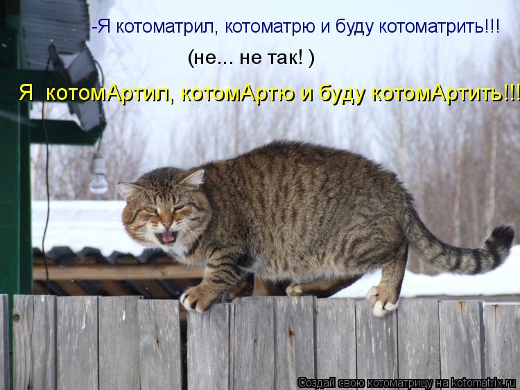 -Я котоматрил, котоматрю и буду котоматрить!!! (не... не так! ) Я котомАртил, котомАртю и буду котом... Котоматрица: -Я котоматрил, котоматрю и буду котоматрить!!! (не... не так! ) Я котомАртил, котомАртю и буду котомАртить!!!
