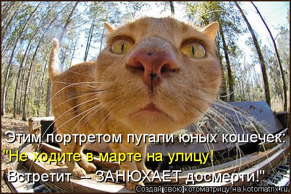 Котоматрица: Этим портретом пугали юных кошечек: "Не ходите в марте на улицу!  Встретит  -- ЗАНЮХАЕТ досмерти!"