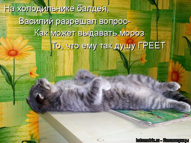 Котоматрица: На холодильнике балдея, Василий разрешал вопрос- Как может выдавать мороз То, что ему так душу ГРЕЕТ