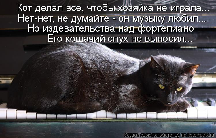 Кот делал все, чтобы хозяйка не играла... Нет-нет, не думайте - он музыку любил... Но издевательства ... Котоматрица: Кот делал все, чтобы хозяйка не играла... Нет-нет, не думайте - он музыку любил... Но издевательства над фортепиано Его кошачий слух не выносил.