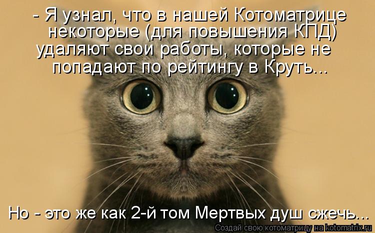 - Я узнал, что в нашей Котоматрице некоторые (для повышения КПД) удаляют свои работы, которые не попа... Котоматрица: - Я узнал, что в нашей Котоматрице некоторые (для повышения КПД) удаляют свои работы, которые не попадают по рейтингу в Круть... Но - это же как