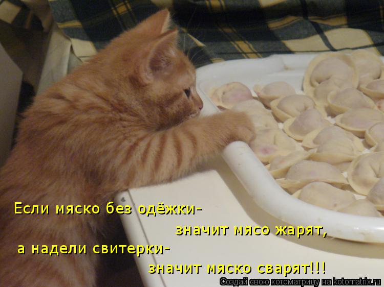 Если мяско без одёжки- значит мясо жарят, а надели свитерки- значит мяско сварят!!!... Котоматрица: Если мяско без одёжки- значит мясо жарят, а надели свитерки- значит мяско сварят!!!