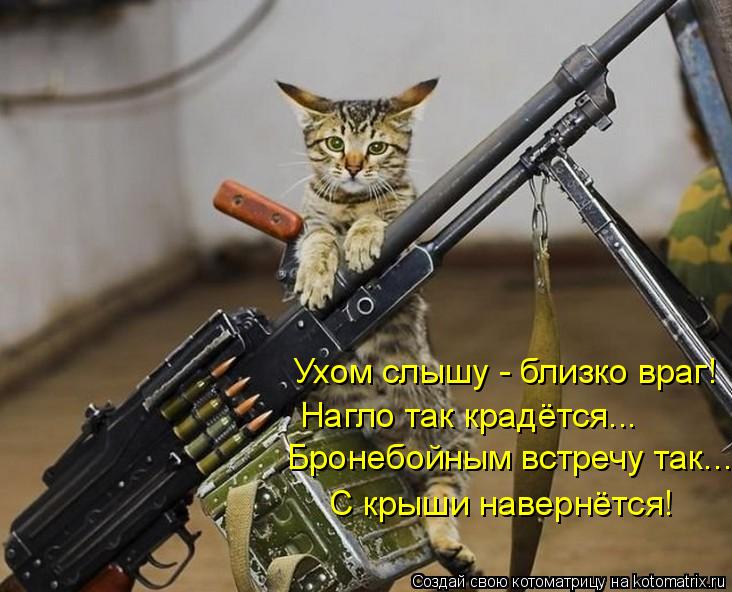 Ухом слышу - близко враг! Нагло так крадётся... Бронебойным встречу так... С крыши навернётся!... Котоматрица: Ухом слышу - близко враг! Нагло так крадётся... Бронебойным встречу так... С крыши навернётся!