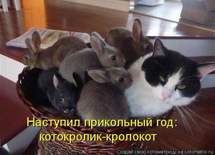 Наступил прикольный год: котокролик-кролокот... Котоматрица: Наступил прикольный год: котокролик-кролокот