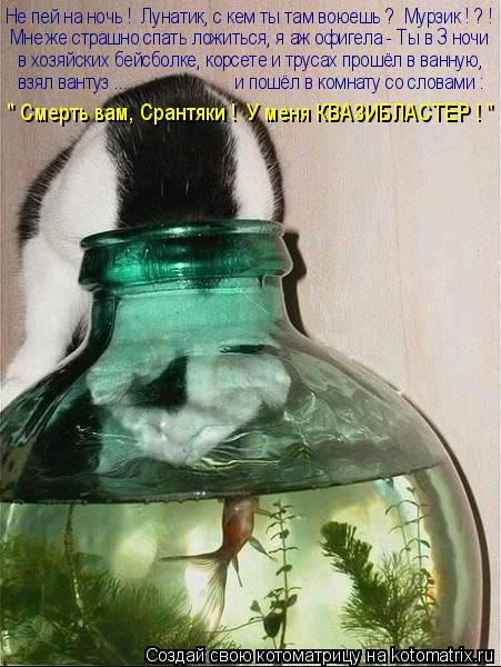 Котоматрица: Не пей на ночь !  Лунатик, с кем ты там воюешь ?  Мурзик ! ? ! Мне же страшно спать ложиться, я аж офигела - Ты в 3 ночи в хозяйских бейсболке, корсе
