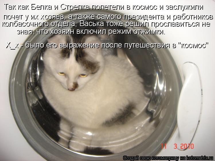 Так как Белка и Стрелка полетели в космос и заслужили почет у их хозяев, а также самого президента и ... Котоматрица: Так как Белка и Стрелка полетели в космос и заслужили почет у их хозяев, а также самого президента и работников колбасочного отдела, Васька