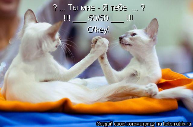 ? ... Ты мне - Я тебе ... ? !!! ___ 50/50 ___ !!! O'key!... Котоматрица: ? ... Ты мне - Я тебе ... ? !!! ___ 50/50 ___ !!! O'key!