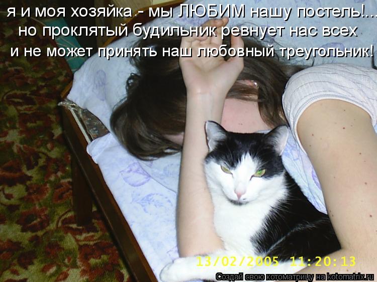 я и моя хозяйка - мы ЛЮБИМ нашу постель!... но проклятый будильник ревнует нас всех и не может принят... Котоматрица: я и моя хозяйка - мы ЛЮБИМ нашу постель!... но проклятый будильник ревнует нас всех и не может принять наш любовный треугольник! но проклятый