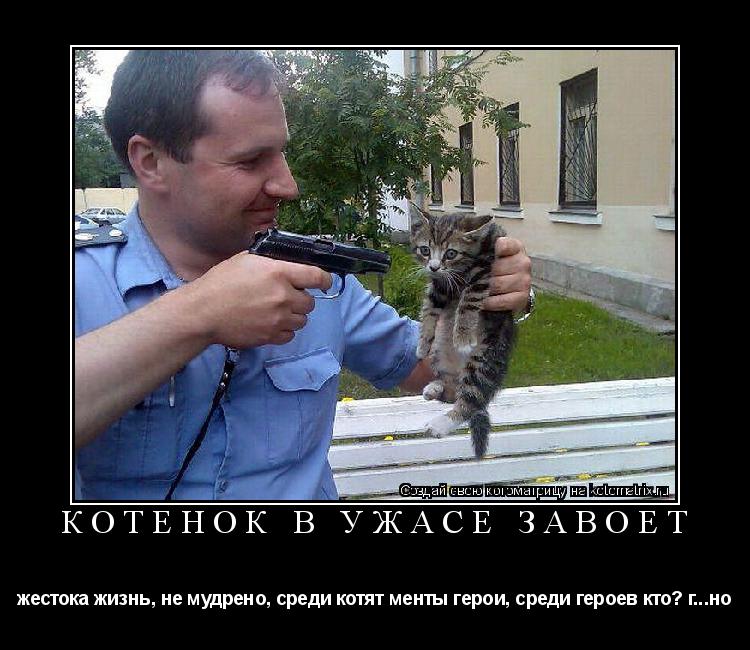 Котоматрица: Котёнок в ужасе завоет жестока жизнь, не мудрено, среди котят менты герои, среди героев кто? г...но