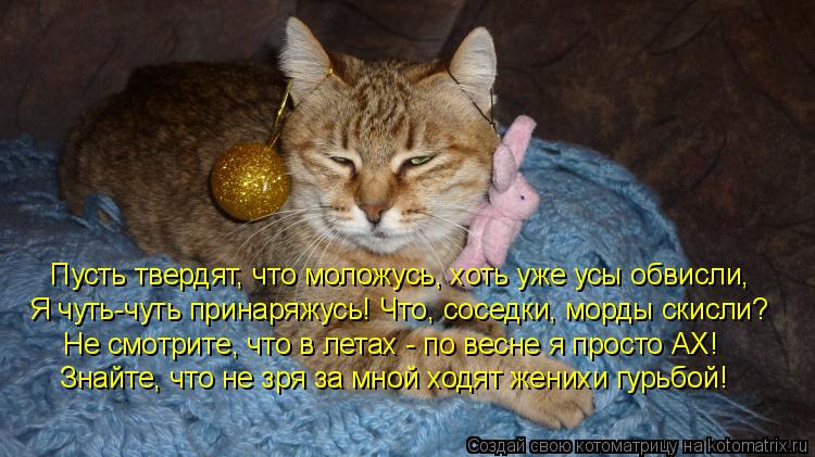 Пусть твердят, что моложусь, хоть уже усы обвисли, Я чуть-чуть принаряжусь! Что, соседки, морды скисл... Котоматрица: Пусть твердят, что моложусь, хоть уже усы обвисли, Я чуть-чуть принаряжусь! Что, соседки, морды скисли? Не смотрите, что в летах - по весне я пр