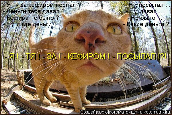 - Я тя за кефиром послал ? - Ну, посылал ... - Деньги тебе давал ? ... Котоматрица: - Я тя за кефиром послал ? - Ну, посылал ... - Деньги тебе давал ? - Ну, давал ... - Кефира