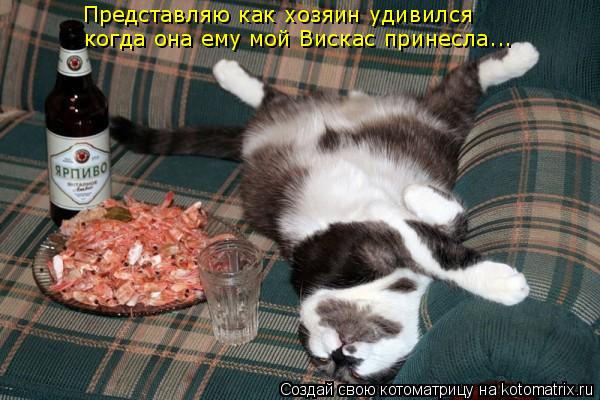 Котоматрица: Представляю как хозяин удивился когда она ему мой Вискас принесла...