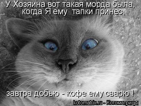У Хозяина вот такая морда была, когда Я ему тапки принес, завтра добью - кофе ему сварю !... Котоматрица: У Хозяина вот такая морда была, когда Я ему тапки принес, завтра добью - кофе ему сварю !