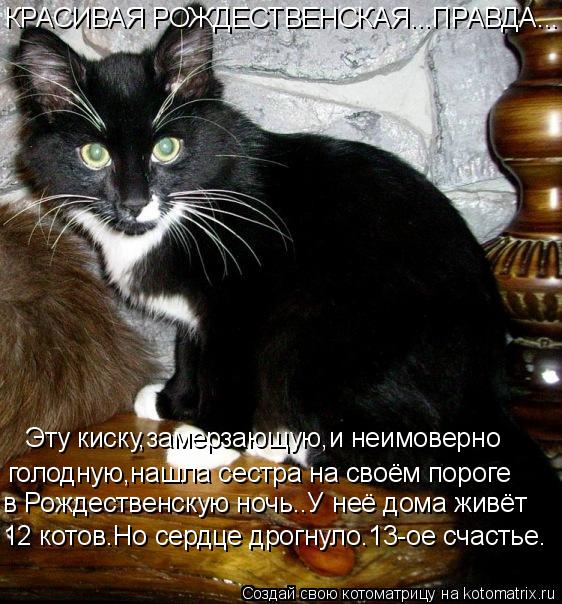 КРАСИВАЯ РОЖДЕСТВЕНСКАЯ...ПРАВДА... Эту киску,замерзающую,и неимоверно голодную,нашла сестра на своё... Котоматрица: КРАСИВАЯ РОЖДЕСТВЕНСКАЯ...ПРАВДА... Эту киску,замерзающую,и неимоверно голодную,нашла сестра на своём пороге в Рождественскую ночь..У неё д