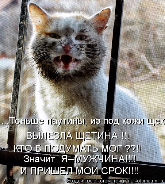 ...Тоньше паутины, из под кожи щек... ВЫЛЕЗЛА ЩЕТИНА !!! КТО Б ПОДУМАТЬ МОГ ??!! Значит Я--МУЖЧИНА!!... Котоматрица: ...Тоньше паутины, из под кожи щек... ВЫЛЕЗЛА ЩЕТИНА !!! КТО Б ПОДУМАТЬ МОГ ??!! Значит Я--МУЖЧИНА!!!! И ПРИШЕЛ МОЙ СРОК!!!!