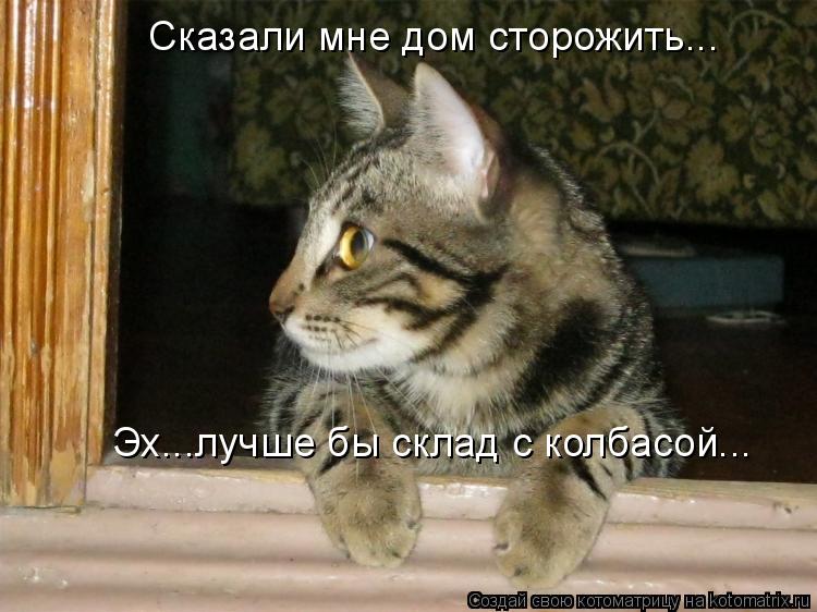 Сказали мне дом сторожить... Эх...лучше бы склад с колбасой...... Котоматрица: Сказали мне дом сторожить... Эх...лучше бы склад с колбасой...