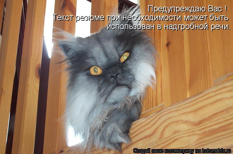 Предупреждаю Вас ! Текст резюме при необходимости может быть использован в надгробной речи.... Котоматрица: Предупреждаю Вас ! Текст резюме при необходимости может быть использован в надгробной речи.
