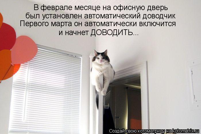 Котоматрица: В феврале месяце на офисную дверь был установлен автоматический доводчик Первого марта он автоматически включится и начнет ДОВОДИТЬ...