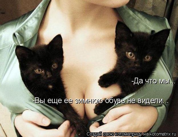 Котоматрица: -Да что мы... -Вы еще ее зимнюю обувь не видели...