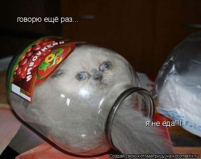 говорю ещё раз... я не еда!!!... Котоматрица: говорю ещё раз... я не еда!!!