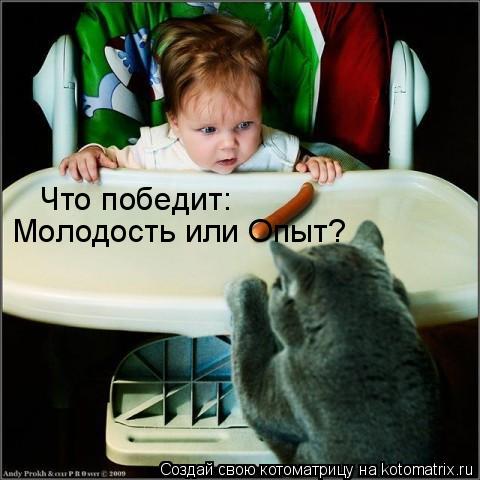 Что победит: Молодость или Опыт?... Котоматрица: Что победит: Молодость или Опыт?