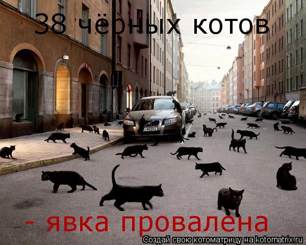 38 чёрных котов - явка провалена... Котоматрица: 38 чёрных котов - явка провалена