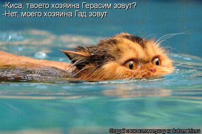 -Киса, твоего хозяина Герасим зовут? -Нет, моего хозяина Гад зовут... Котоматрица: -Киса, твоего хозяина Герасим зовут? -Нет, моего хозяина Гад зовут