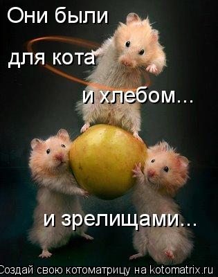 Они были и хлебом... и зрелищами... для кота... Котоматрица: Они были и хлебом... и зрелищами... для кота