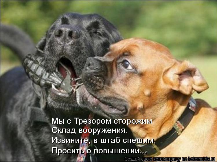Мы с Трезором сторожим Склад вооружения. Извините, в штаб спешим, Просить о повышении...... Котоматрица: Мы с Трезором сторожим Склад вооружения. Извините, в штаб спешим, Просить о повышении...