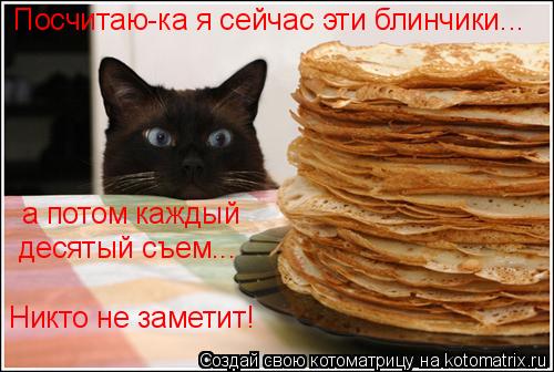 Посчитаю-ка я сейчас эти блинчики... а потом каждый десятый съем... Никто не заметит!... Котоматрица: Посчитаю-ка я сейчас эти блинчики... а потом каждый десятый съем... Никто не заметит!