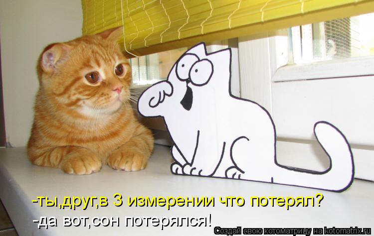 -ты,друг,в 3 измерении что потерял? -да вот,сон потерялся!... Котоматрица: -ты,друг,в 3 измерении что потерял? -да вот,сон потерялся!