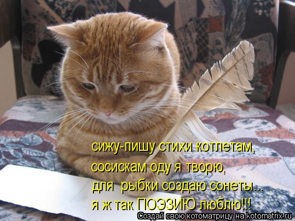 сижу-пишу стихи котлетам, сосискам оду я творю, для рыбки создаю сонеты... я ж так ПОЭЗИЮ люблю!!!... Котоматрица: сижу-пишу стихи котлетам, сосискам оду я творю, для рыбки создаю сонеты... я ж так ПОЭЗИЮ люблю!!!