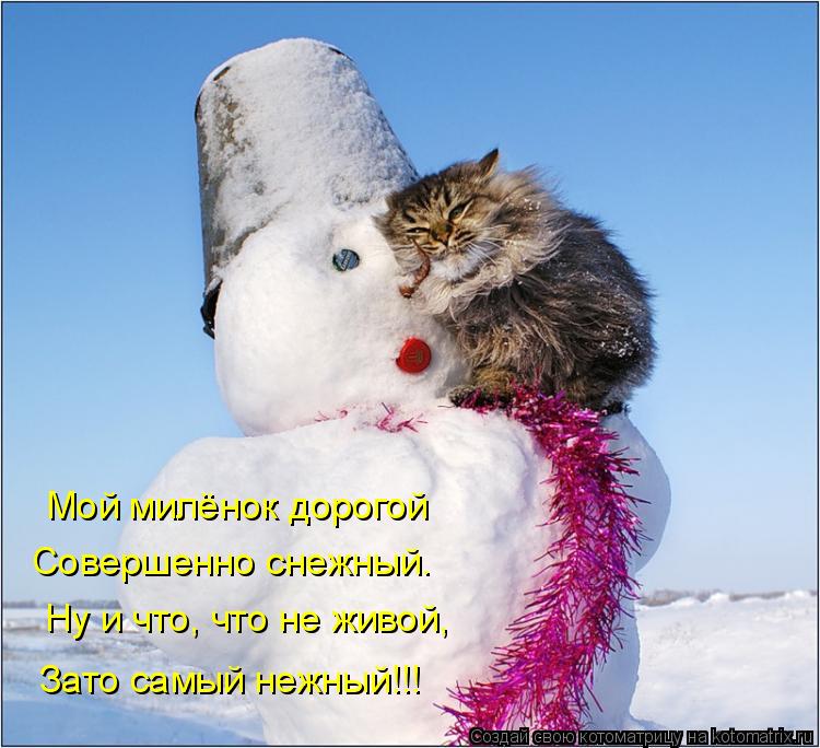 Мой милёнок дорогой Совершенно снежный. Ну и что, что не живой, Зато самый нежный!!!... Котоматрица: Мой милёнок дорогой Совершенно снежный. Ну и что, что не живой, Зато самый нежный!!!