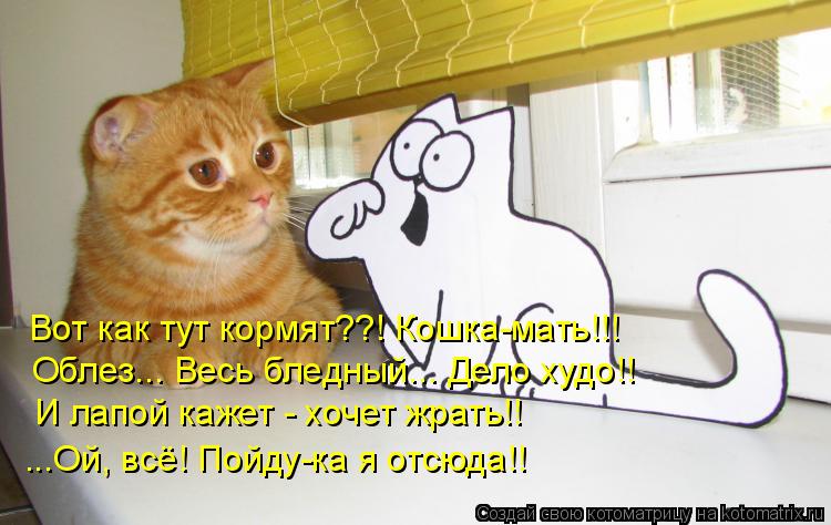 Вот как тут кормят??! Кошка-мать!!! Облез... Весь бледный... Дело худо!! И лапой кажет - хочет жрать!... Котоматрица: Вот как тут кормят??! Кошка-мать!!! Облез... Весь бледный... Дело худо!! И лапой кажет - хочет жрать!! ...Ой, всё! Пойду-ка я отсюда!!
