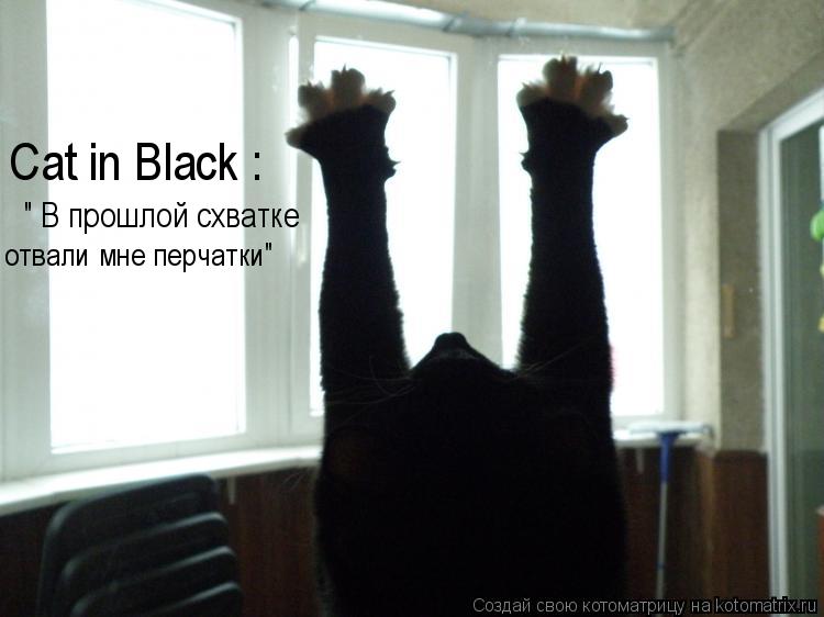 Котоматрица: Cat in Black : " В прошлой схватке  отвали мне перчатки"
