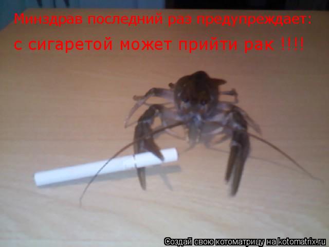 Котоматрица: Минздрав последний раз предупреждает: с сигаретой может прийти рак !!!!