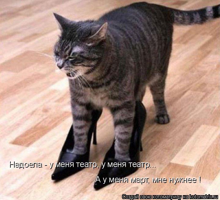 Котоматрица: Надоела - у меня театр, у меня театр...   А у меня март, мне нужнее !