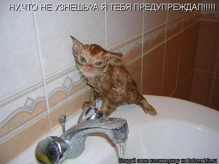 НУ,ЧТО НЕ УЗНЕШЬ?А Я ТЕБЯ ПРЕДУПРЕЖДАЛ!!!!!... Котоматрица: НУ,ЧТО НЕ УЗНЕШЬ?А Я ТЕБЯ ПРЕДУПРЕЖДАЛ!!!!!