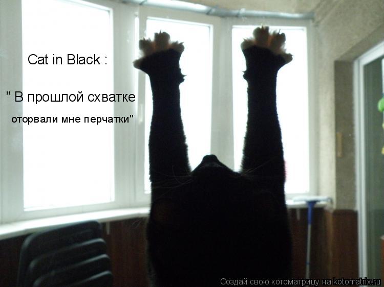 Котоматрица: Cat in Black : " В прошлой схватке оторвали мне перчатки"
