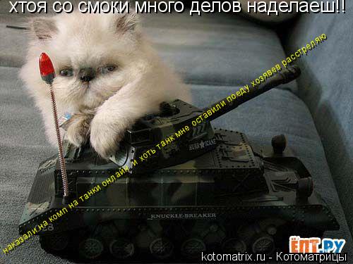 наказали на комп на танки онлайн и хоть танк мне оставили поеду хозявев расстреляю хтоя со смоки мно... Котоматрица: наказали на комп на танки онлайн и хоть танк мне оставили поеду хозявев расстреляю хтоя со смоки много делов наделаеш!!