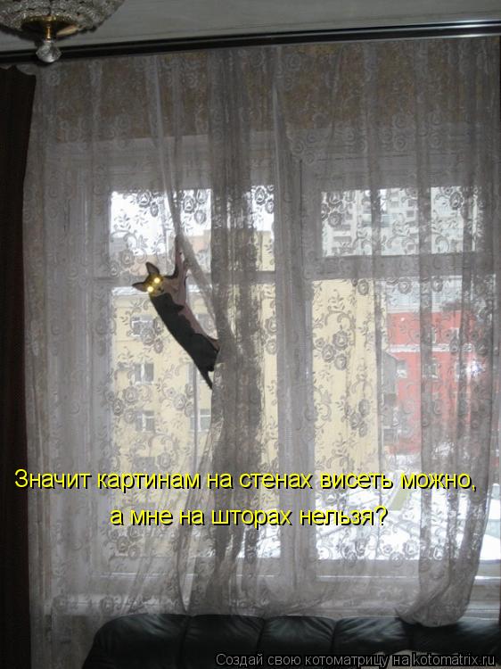 Значит картинам на стенах висеть можно, а мне на шторах нельзя?... Котоматрица: Значит картинам на стенах висеть можно, а мне на шторах нельзя?