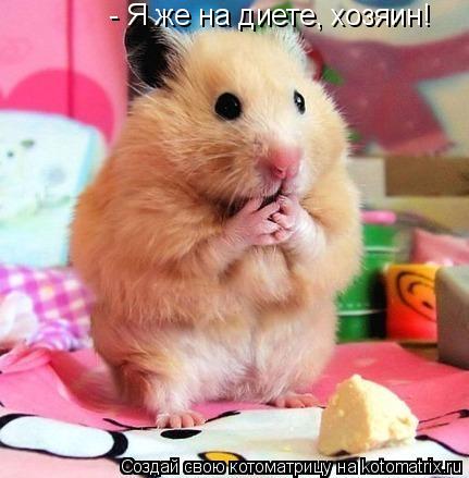 Котоматрица: - Я же на диете, хозяин!
