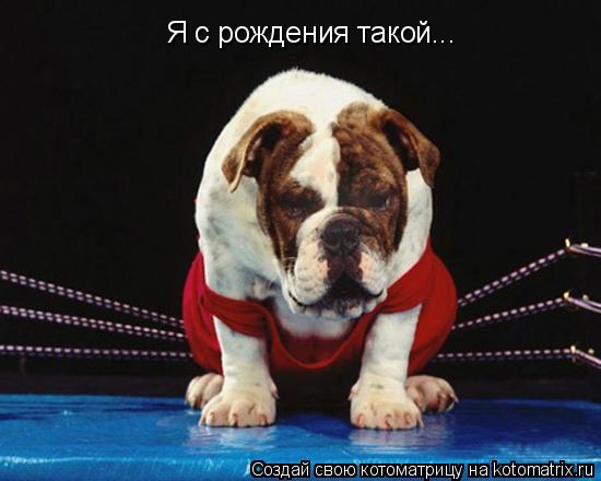 Я с рождения такой...... Котоматрица: Я с рождения такой...